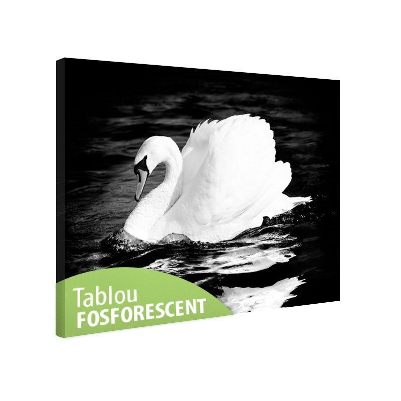 Tablou fosforescent Lebada, 30x20 cm