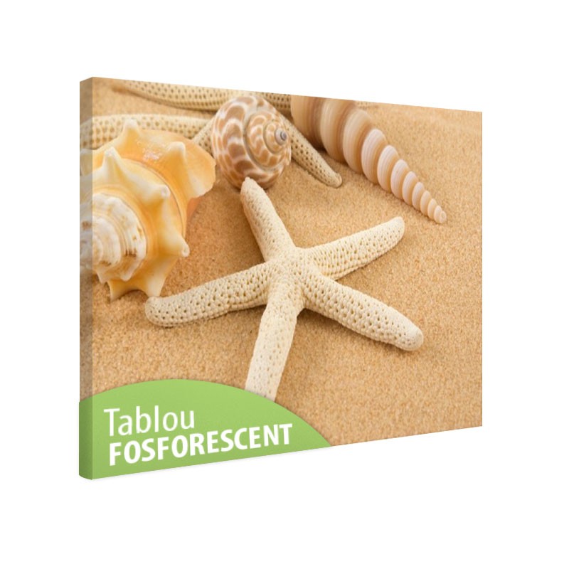 Tablou fosforescent Nisipurile de Aur, 30x20 cm