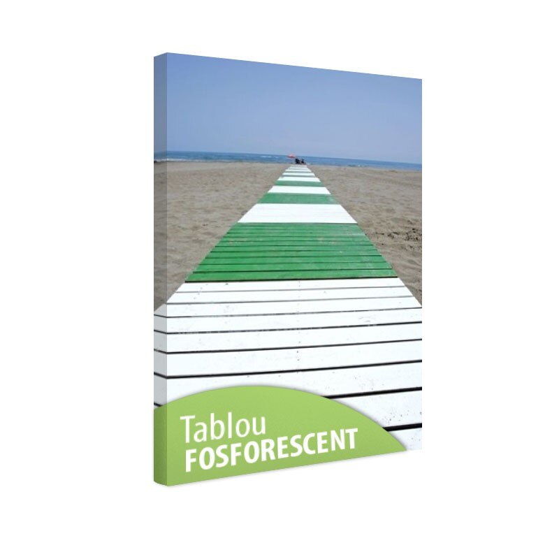 Tablou fosforescent Spre apa!, 30x20 cm