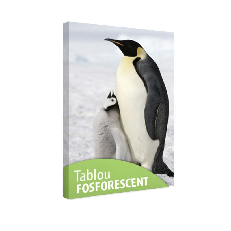 Tablou fosforescent Pinguini, 30x20 cm