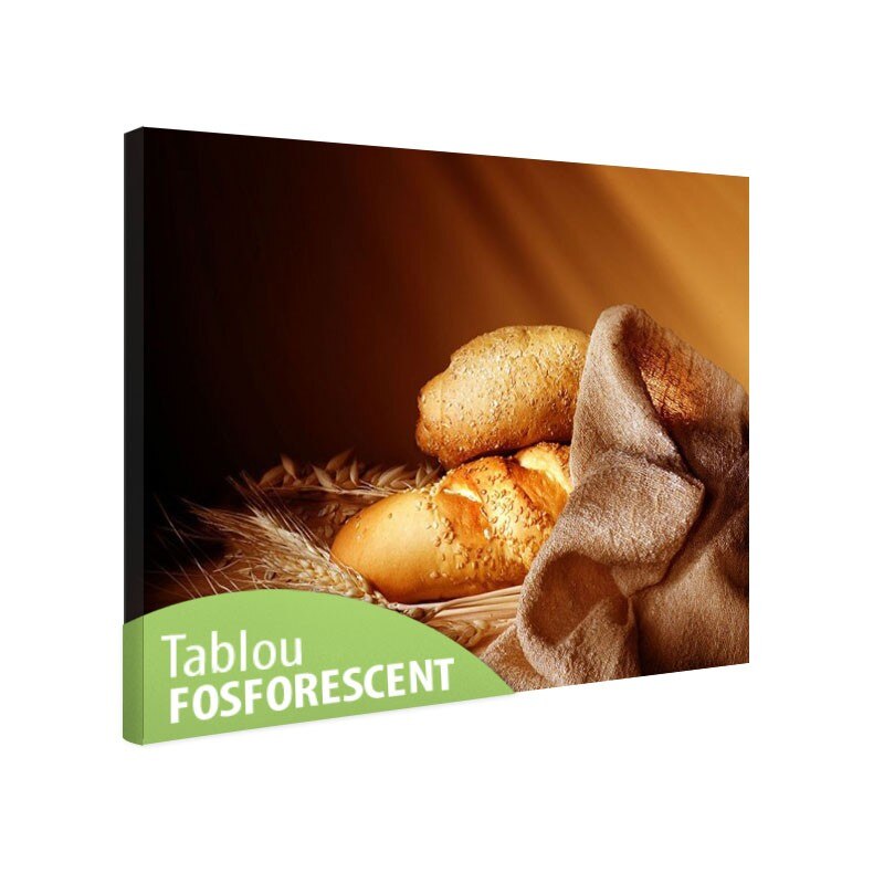 Tablou fosforescent Paine, 30x20 cm