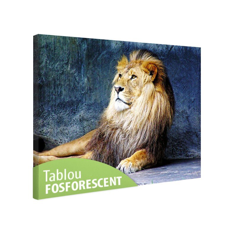 Tablou fosforescent Regele leu, 30x20 cm