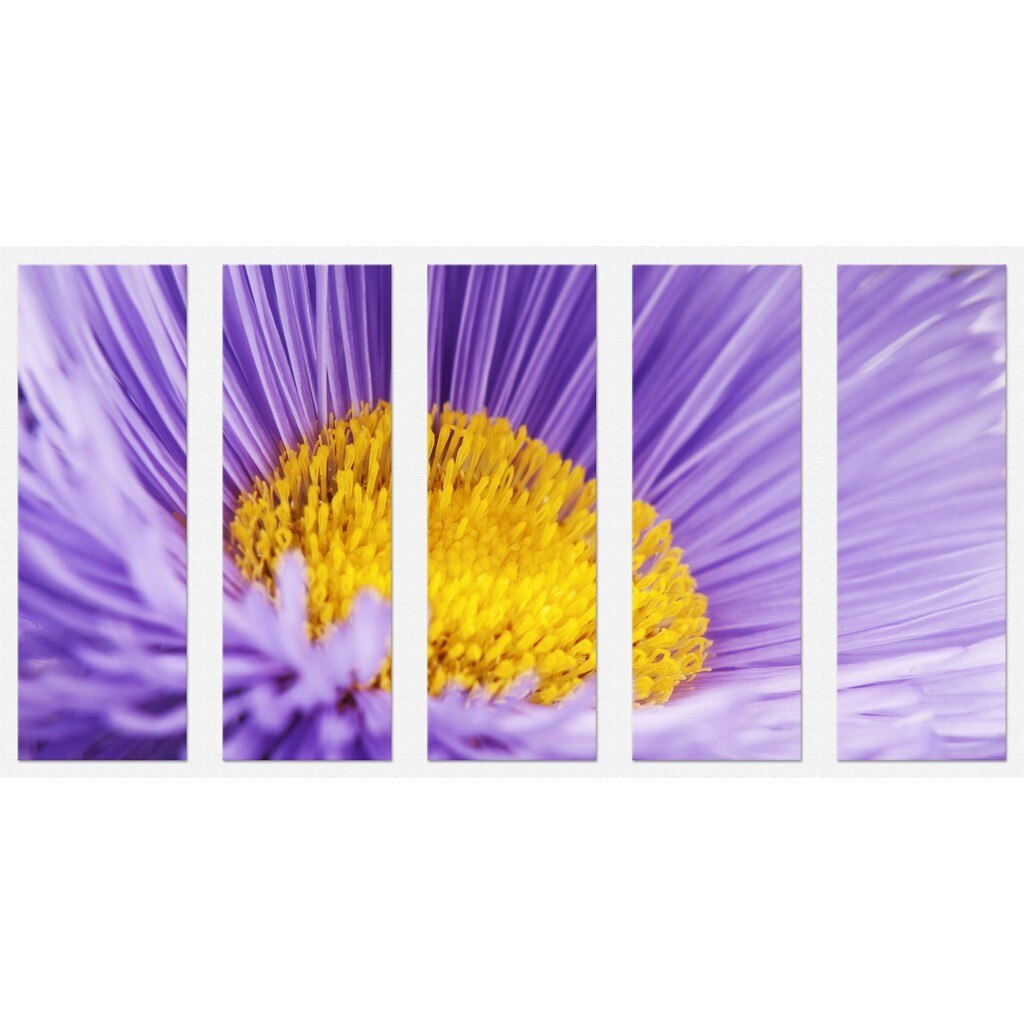 Set Tablou Dual-View Floare macro 60x20 cm