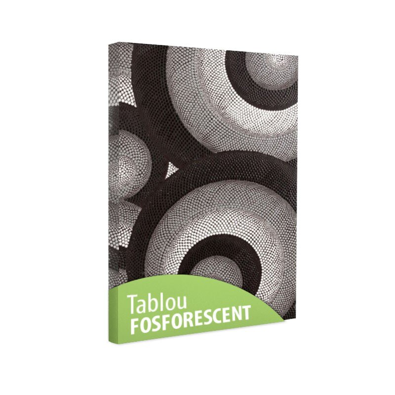 Tablou fosforescent Cercuri 30x20 cm