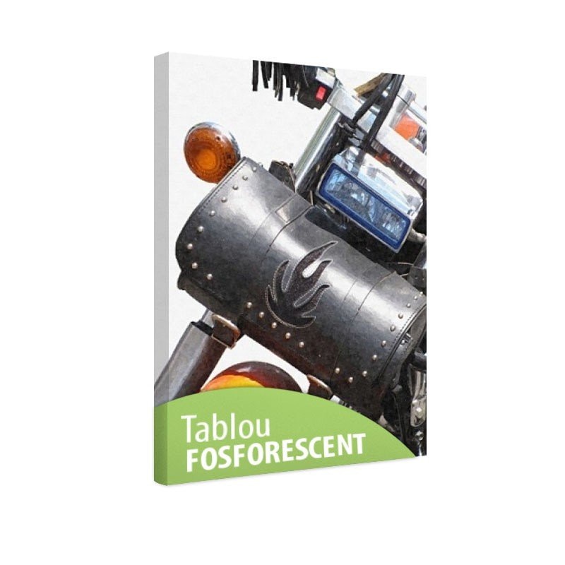 Tablou fosforescent Motocicleta, 90x60 cm