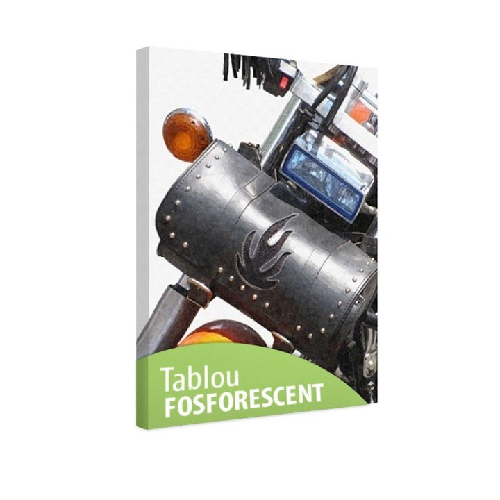 Tablou fosforescent Motocicleta, 90x60 cm