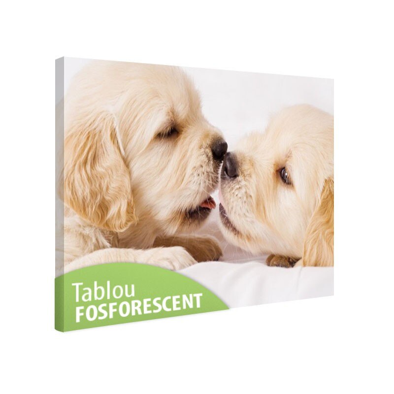 Tablou fosforescent Iubareti, 120x80 cm