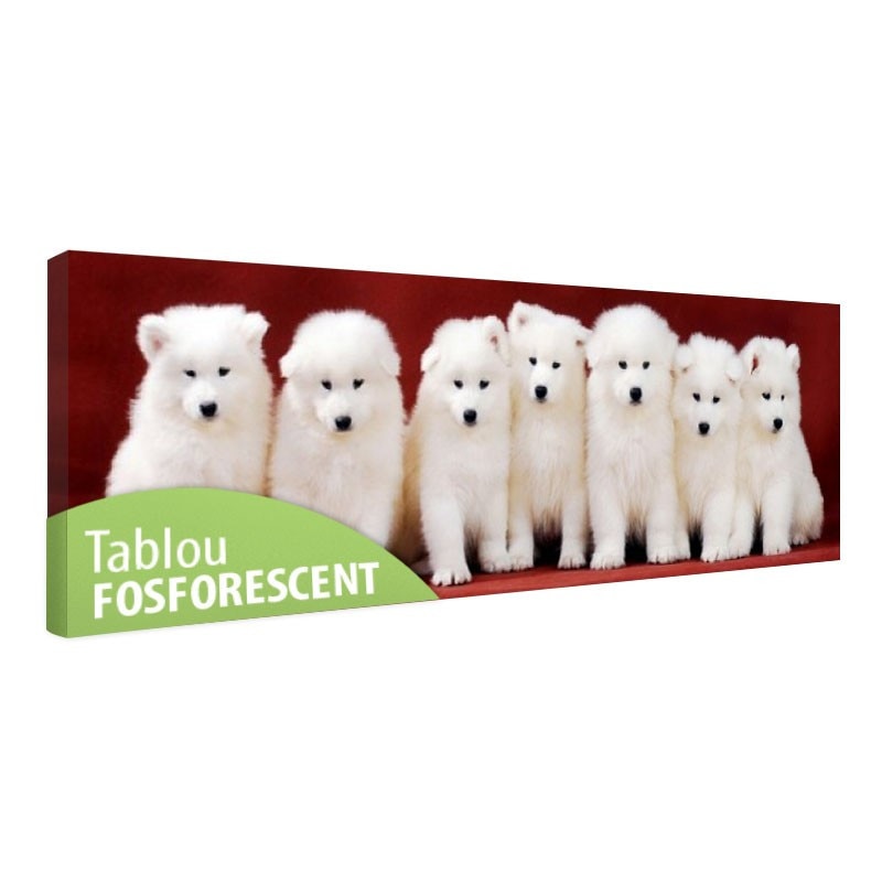 Tablou fosforescent Familia de catelusi Samoyed, 60x20 cm