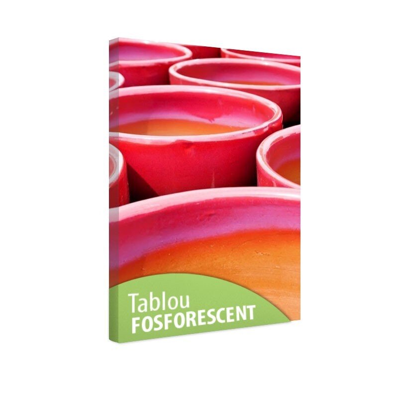 Tablou fosforescent Ghivece rosii, 90x52 cm