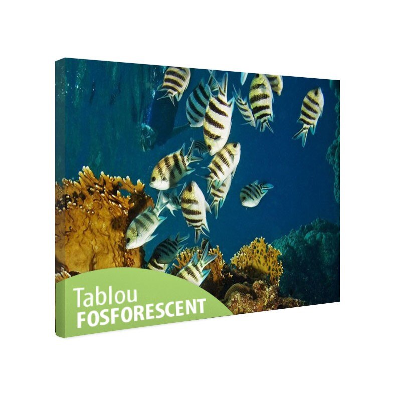 Tablou fosforescent Viata subacvatica, 120x80 cm