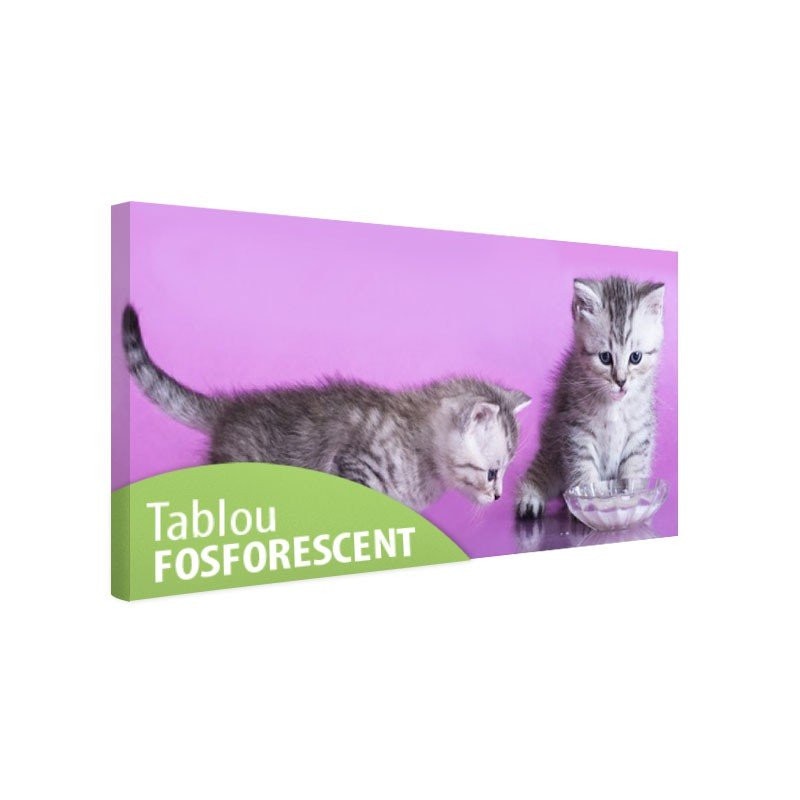 Tablou fosforescent Doi pisoi mici, 120x52 cm