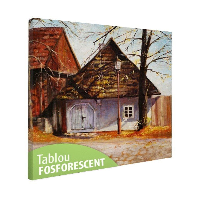 Tablou fosforescent Casa veche, 50x50 cm