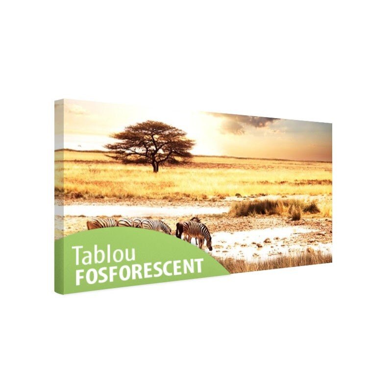 Tablou fosforescent Savana, 120x52 cm