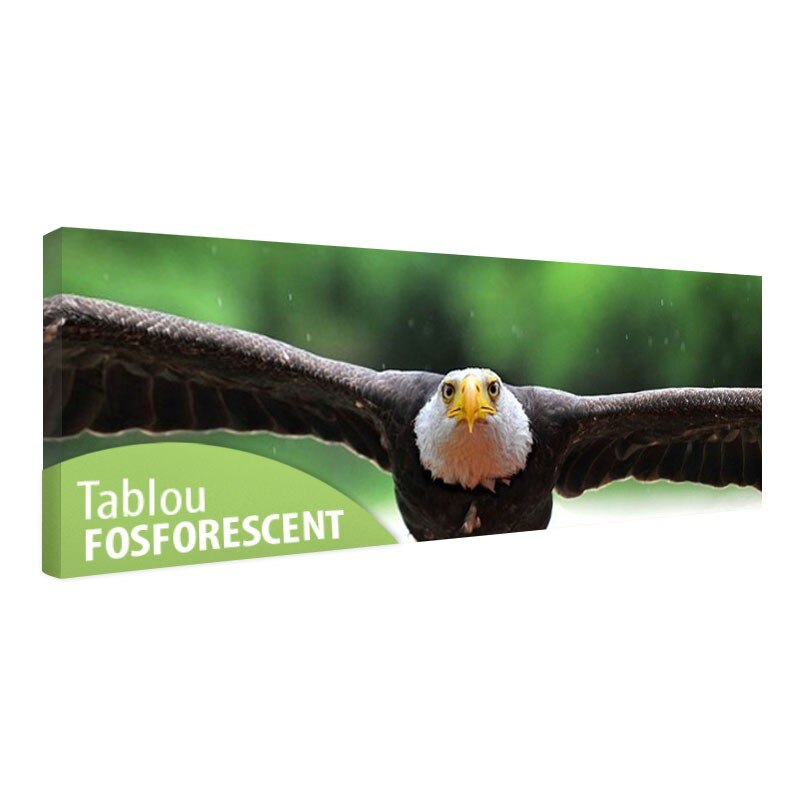 Tablou fosforescent﻿ Vultur, 120x40 cm