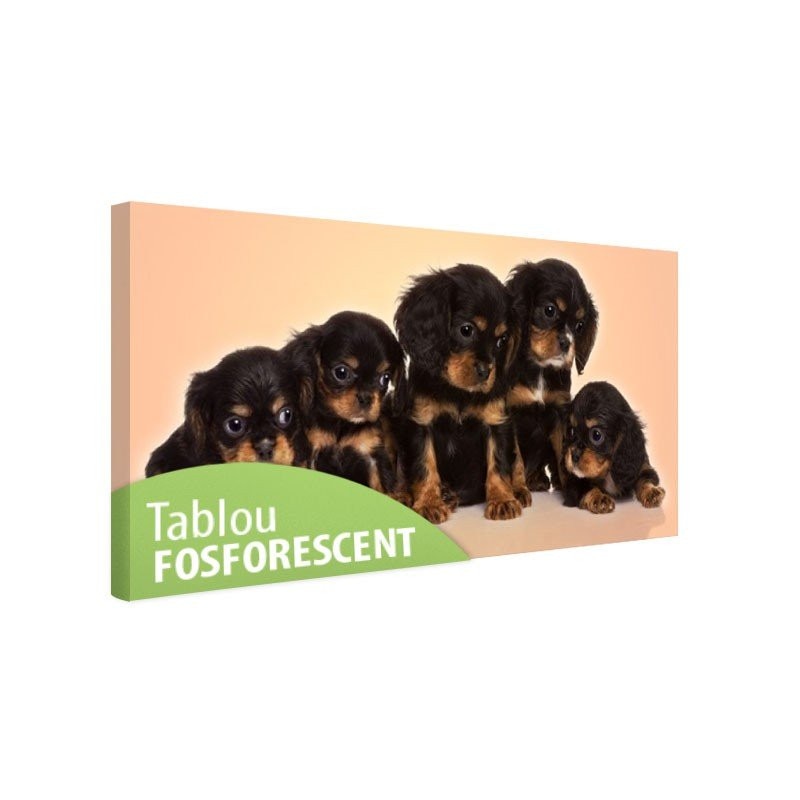 Tablou fosforescent Cel mai mic, 120x52 cm