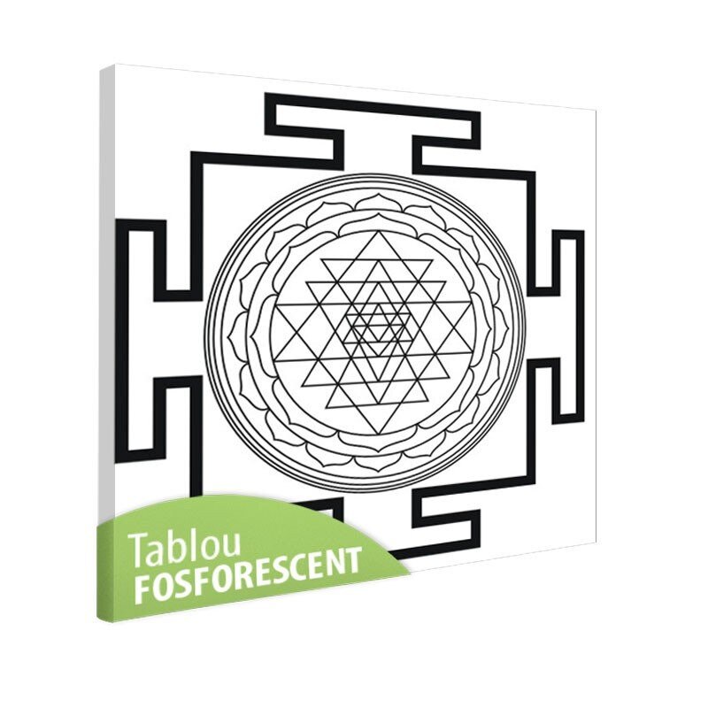 Tablou fosforescent Meditatie 1, 40x40 cm