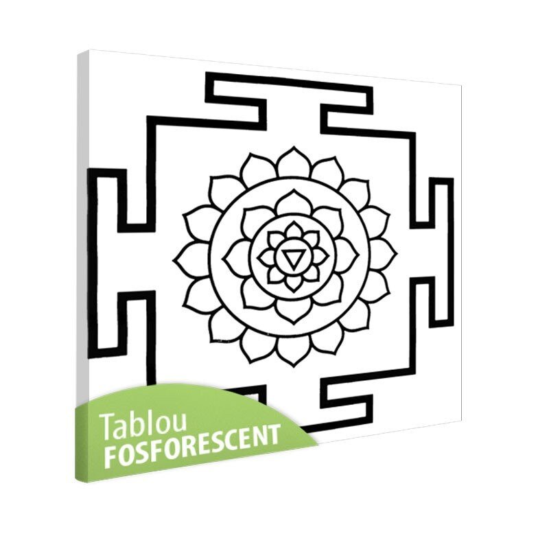Tablou fosforescent Meditatie 2, 50x50 cm