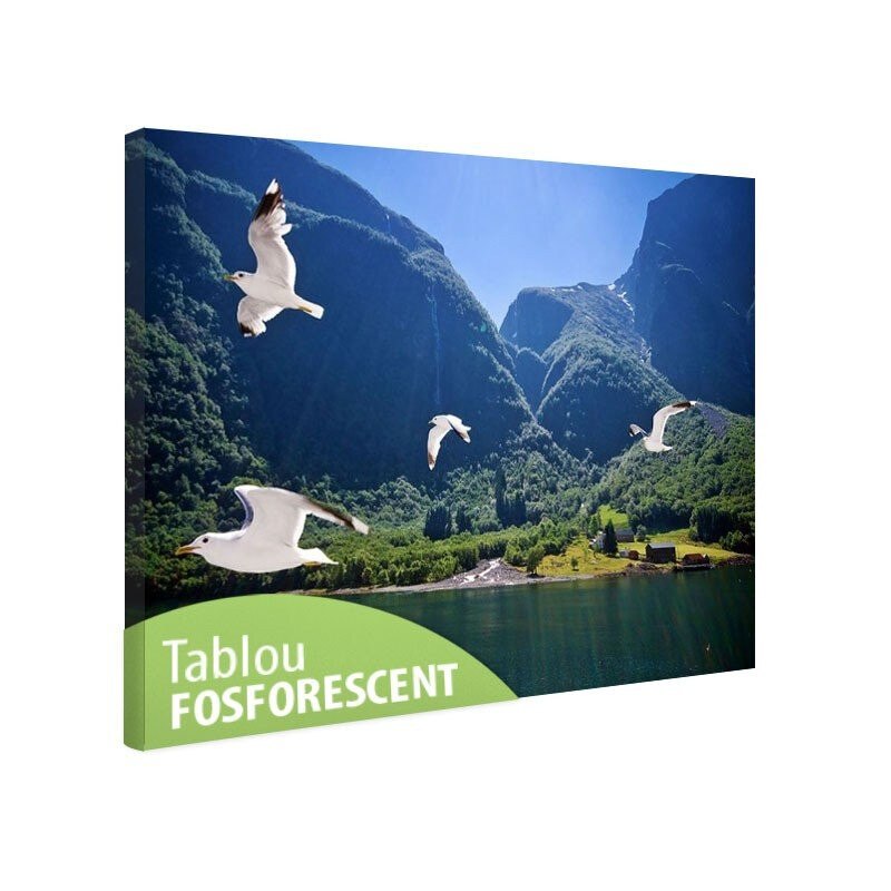 Tablou fosforescent Fiord, 120x80 cm