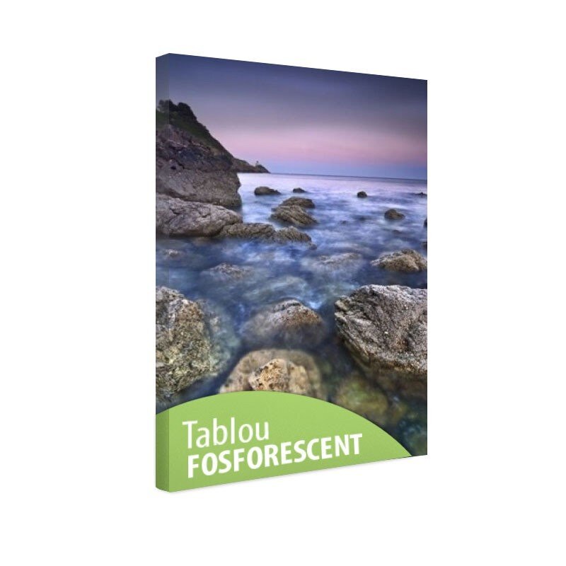 Tablou fosforescent Spiritul marii, 120x80 cm