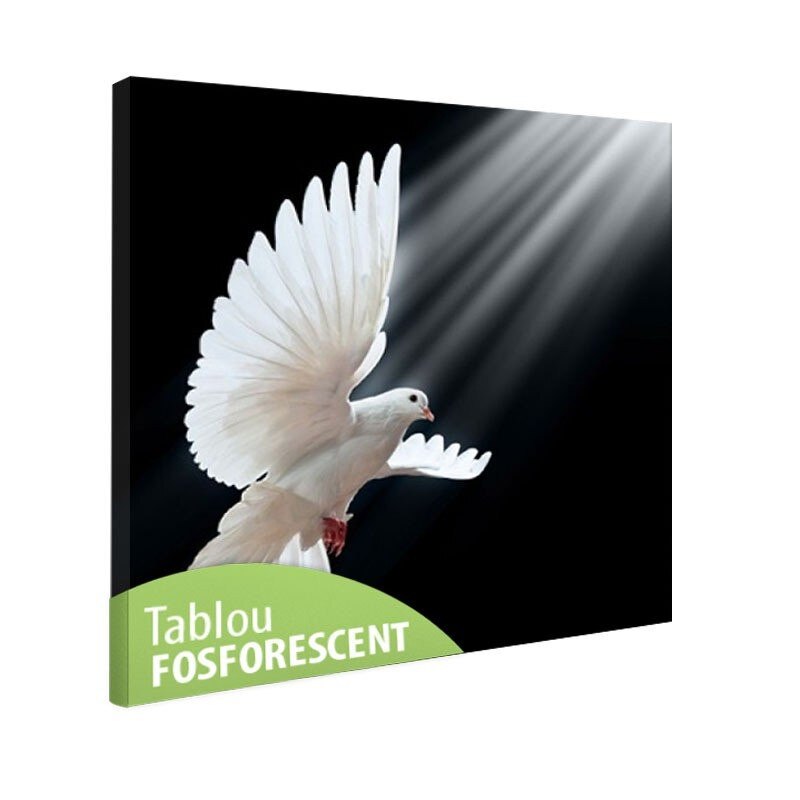 Tablou fosforescent Porumbel alb, 80x80 cm