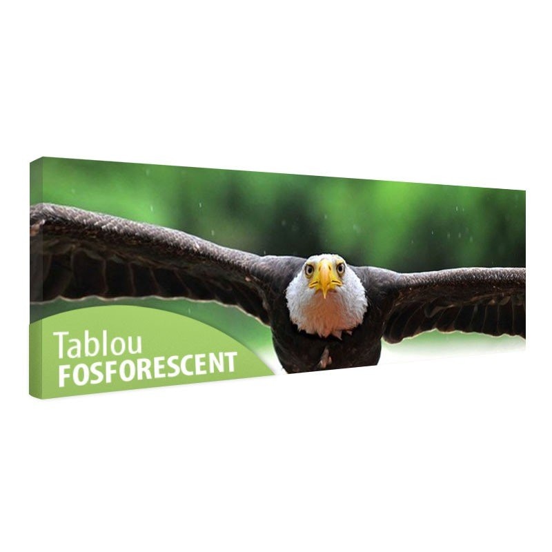 Tablou fosforescent﻿ Vultur, 90x30 cm