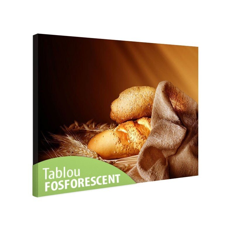 Tablou fosforescent Paine, 90x52 cm