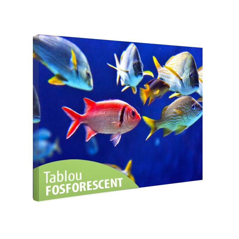 Tablou fosforescent Pesti, 120x80 cm