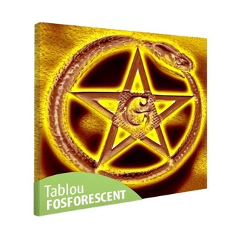 Tablou fosforescent Sarpele vesnic, 60x60 cm Tablou fosforescent Sarpele vesnic, 60x60 cm