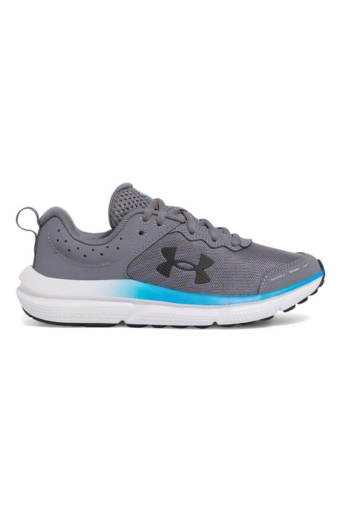 Under Armour, Pantofi Assert 10 cu garnituri de piele, pentru alergare, Gri/Albastru