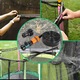 Sistem de racire cu apa pentru trambuline, 12m, usor de instalat, economisire apa, Kit de irigare pentru Sunshade Gazebo