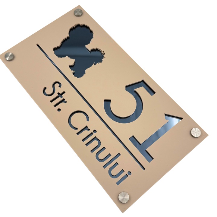 Placuta numar casa, Crem Satinat, Gri Antracit Oglinda, 4 Distantieri Argintii, 28x15cm