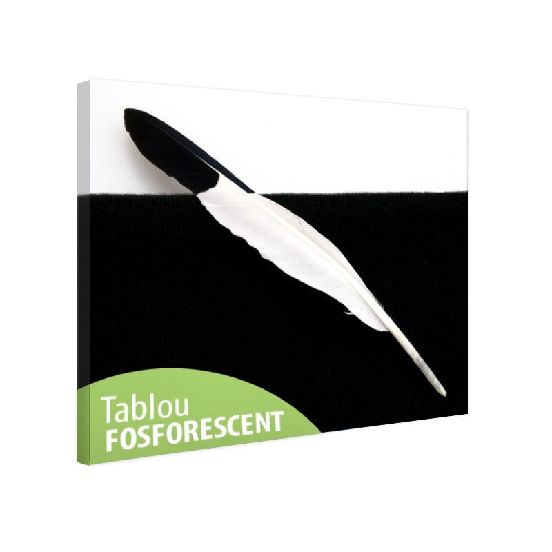 Tablou fosforescent Pana alb negru 30x20 cm