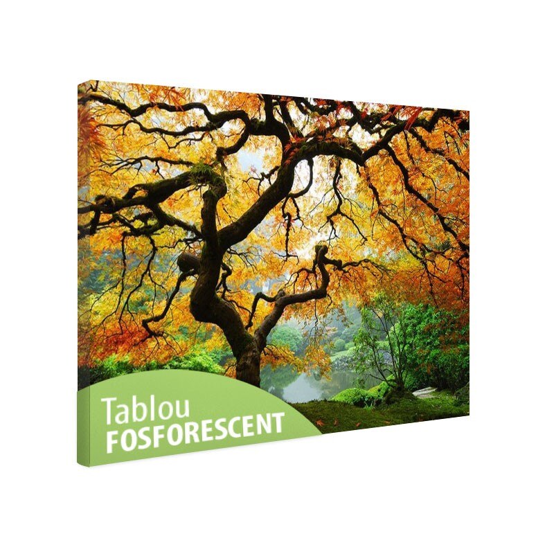 Tablou fosforescent Artar toamna 30x20 cm
