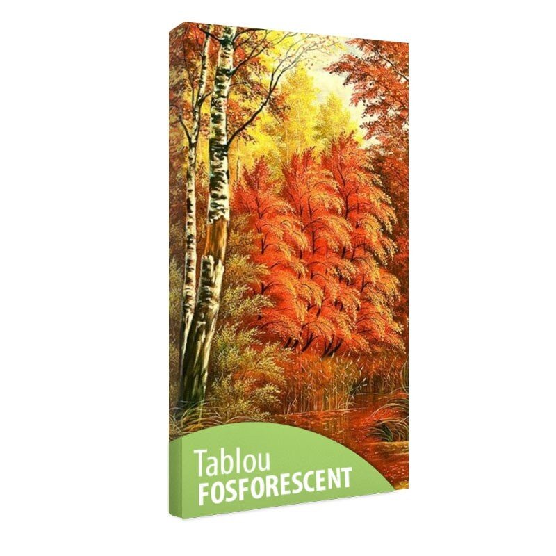 Tablou fosforescent Toamna in padure, 40x20 cm