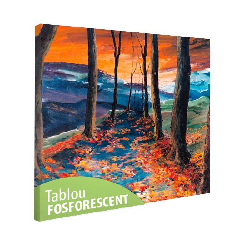 Tablou fosforescent Drum de toamna, 50x50 cm
