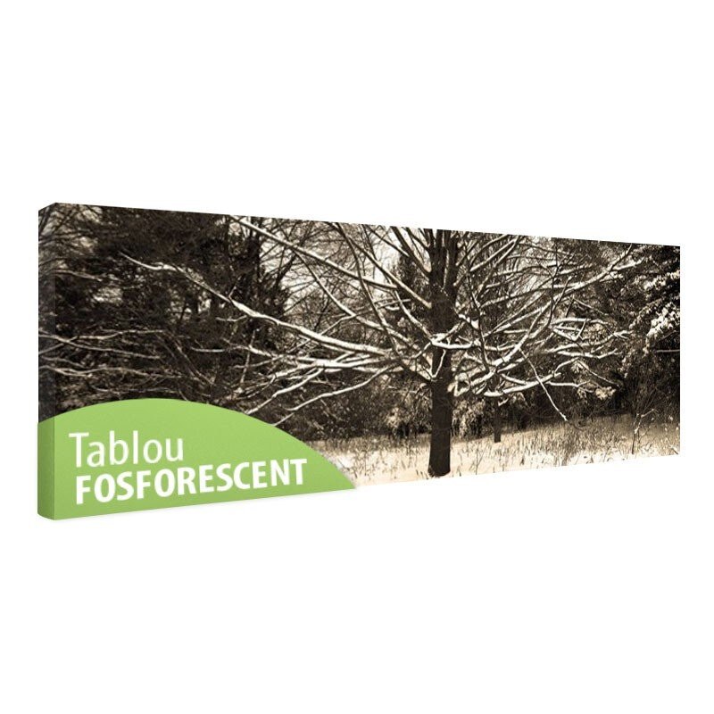Tablou fosforescent Inzapezit, 60x20 cm