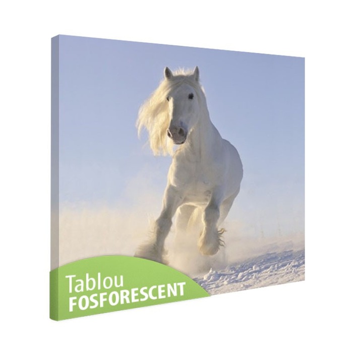 Tablou fosforescent Cal alb fotografie, 50x50 cm