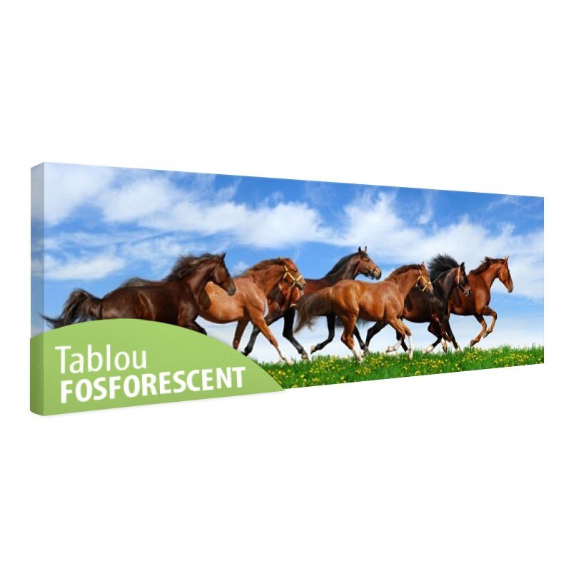 Tablou fosforescent Cai salbatici, 90x30 cm