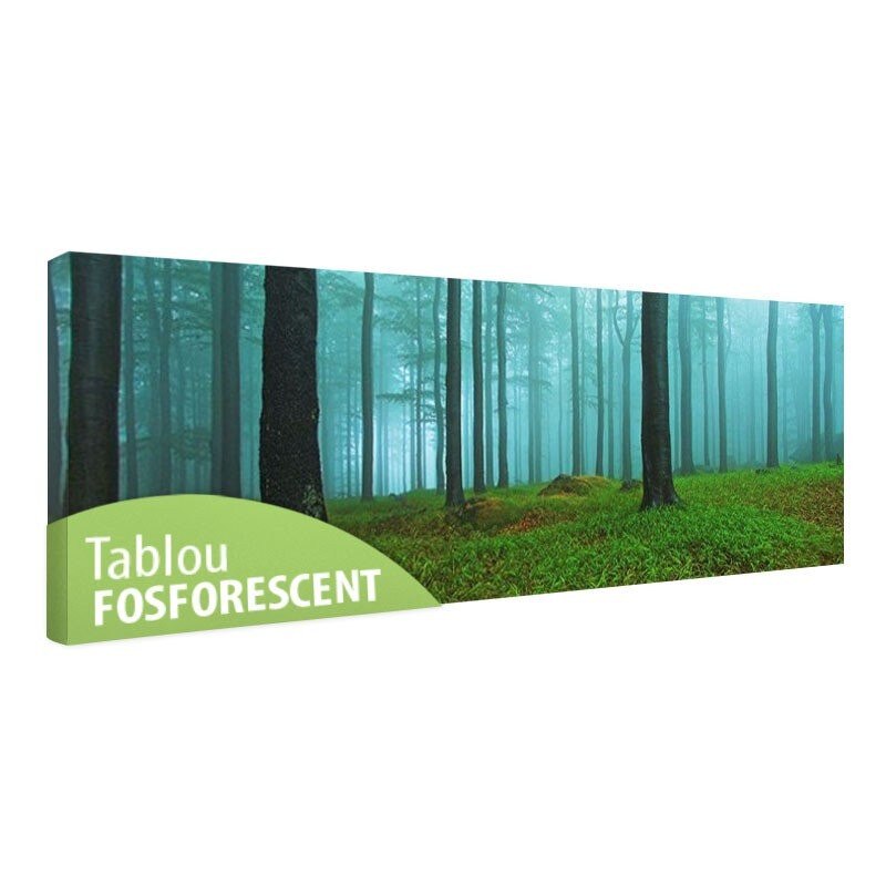 Tablou fosforescent Dimineata in padure, 90x30 cm