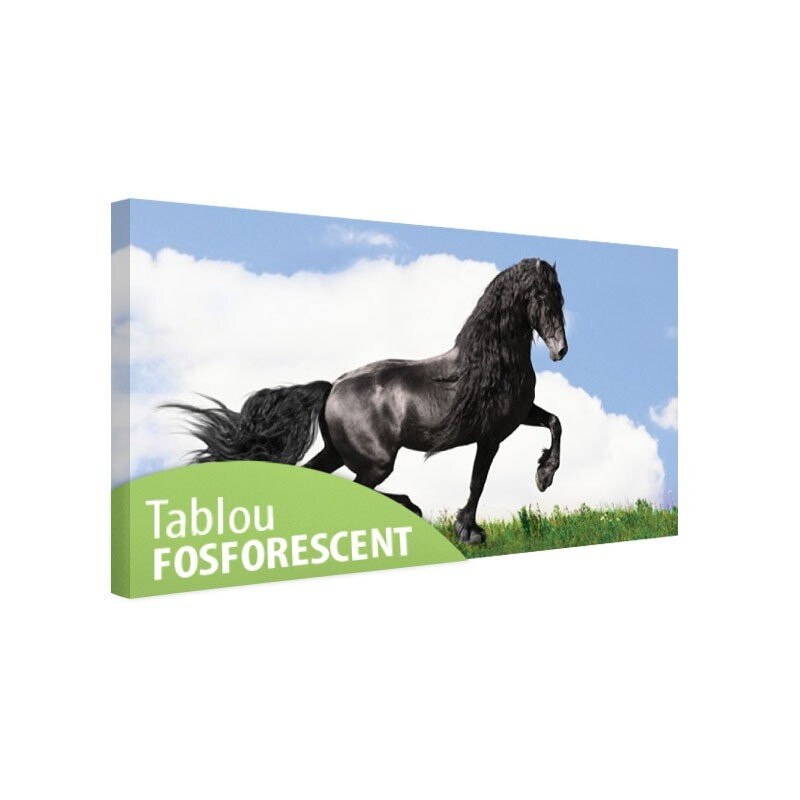 Tablou fosforescent Cal negru pe pajiste, 120x52 cm