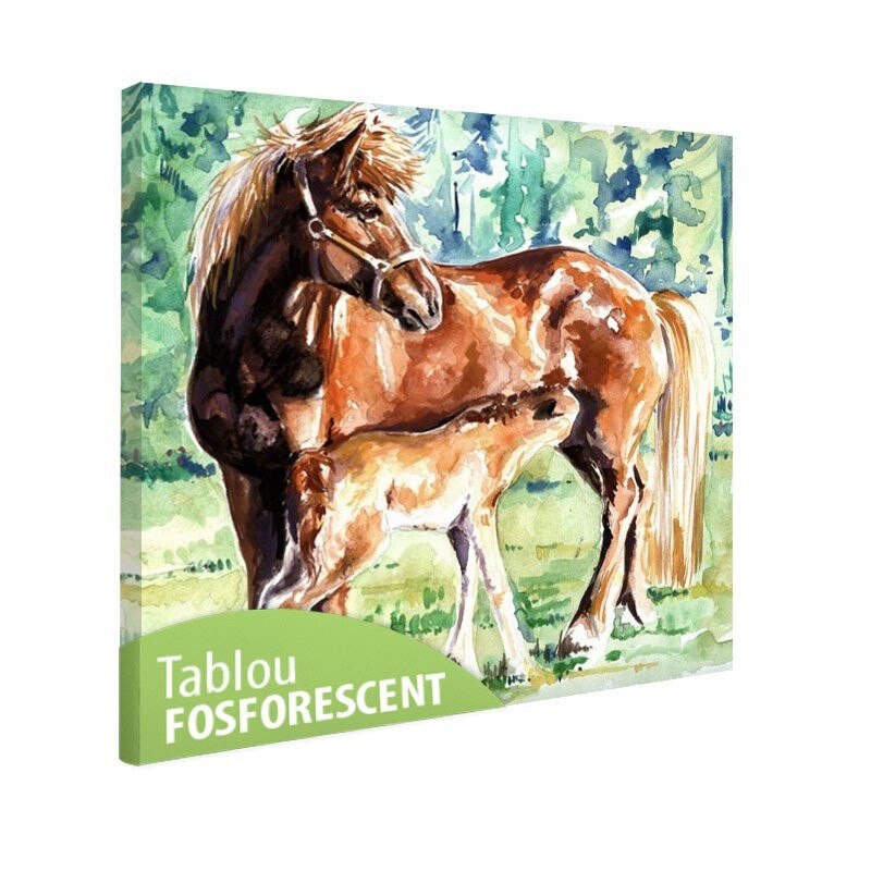 Tablou fosforescent Cai, 40x40 cm