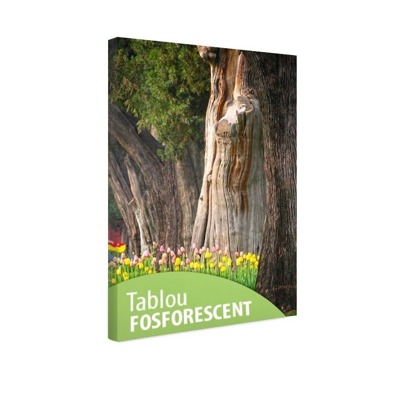 Tablou fosforescent Lalele si copaci batrani, 120x80 cm