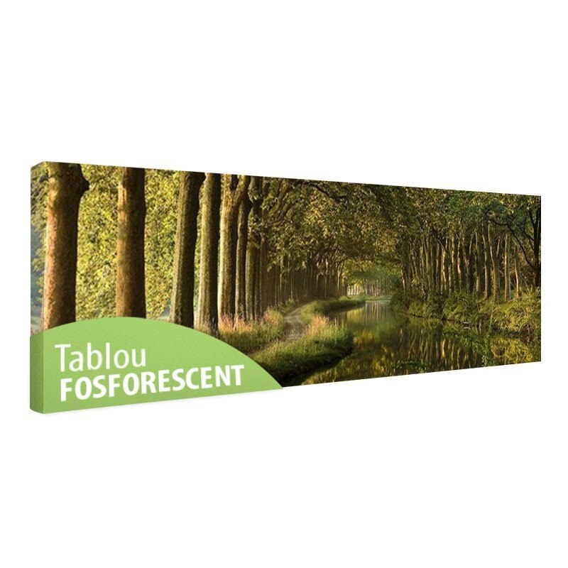 Tablou fosforescent Tunel de copaci, 60x20 cm