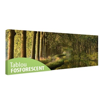 Tablou fosforescent Tunel de copaci, 60x20 cm Tablou fosforescent Tunel de copaci, 60x20 cm