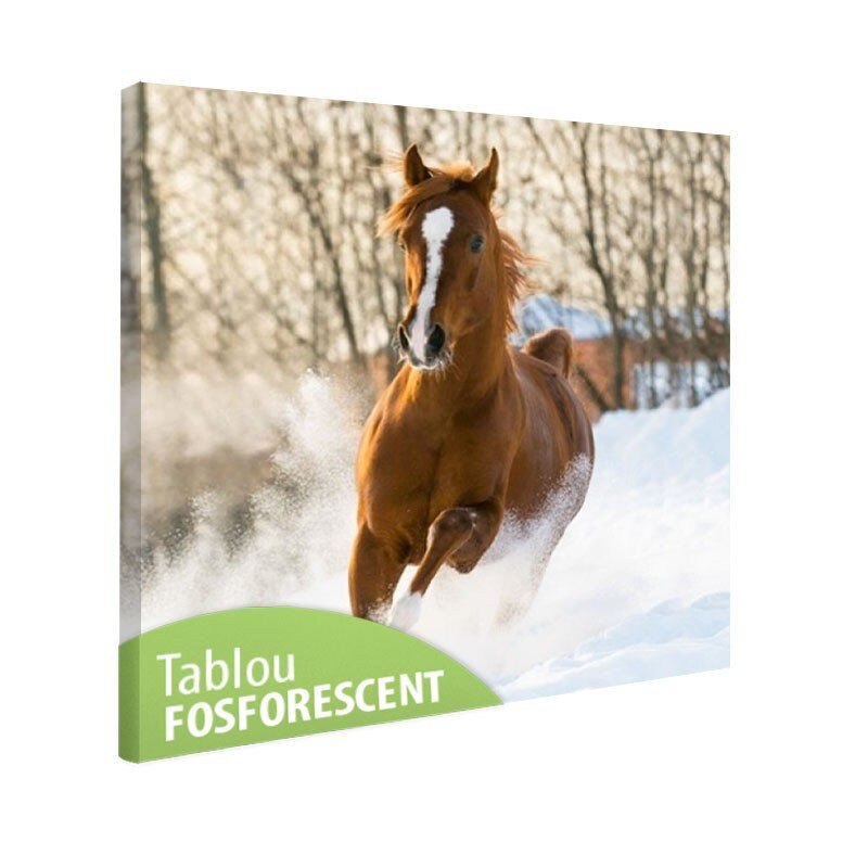 Tablou fosforescent Manz prin zapada, 50x50 cm