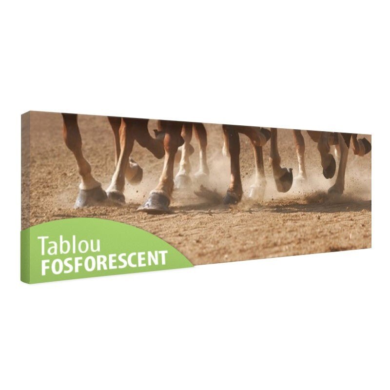 Tablou fosforescent Cursa de cai, 120x40 cm