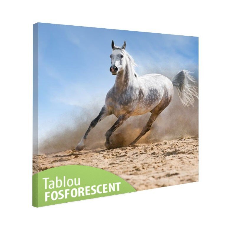 Tablou fosforescent Armasar salbatic, 40x40 cm