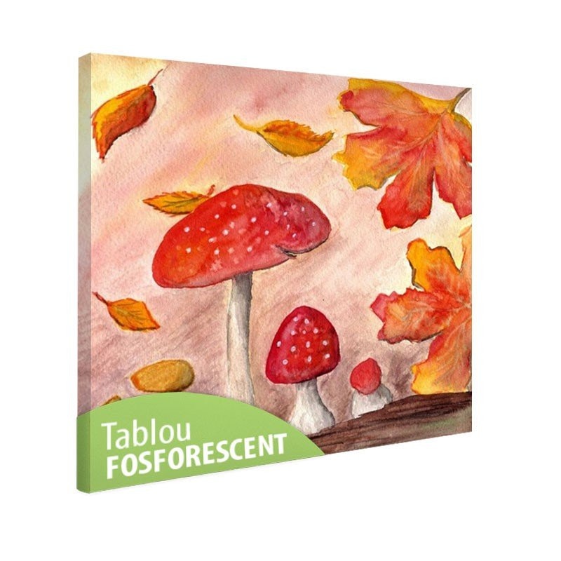 Tablou fosforescent Ciuperci de toamna, 30x30 cm
