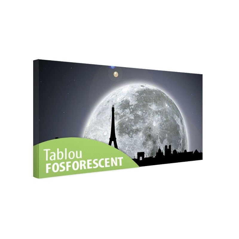Tablou fosforescent Parisul in lumina lunii, 80x40 cm