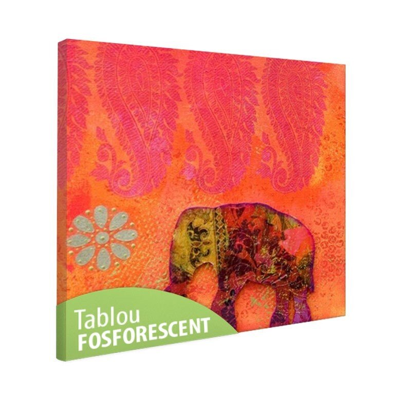 Tablou fosforescent Elefant Feng Shui, 40x40 cm
